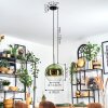 Koyoto Hanglamp, Kogellampje, Hanglamp 30 cm Groen, Duidelijk, 1-licht