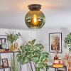 Koyoto Plafondlamp, Kogellampje Groen, 1-licht