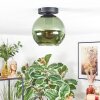 Koyoto Plafondlamp, Kogellampje Groen, 1-licht