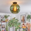 Koyoto Plafondlamp, Kogellampje Groen, 1-licht