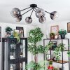 Koyoto Plafondlamp, Kogellampje 77.5 cm Duidelijk, Rookkleurig, 6-lichts