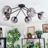 Koyoto Plafondlamp, Kogellampje 77.5 cm Duidelijk, Rookkleurig, 6-lichts