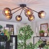 Koyoto Plafondlamp, Kogellampje 77.5 cm Duidelijk, Rookkleurig, 6-lichts