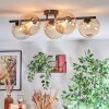Chehalis Plafondlamp, Kogellampje Amber, Duidelijk, 5-lichts