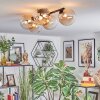 Chehalis Plafondlamp, Kogellampje Amber, Duidelijk, 5-lichts