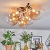 Chehalis Plafondlamp, Kogellampje Amber, Duidelijk, 5-lichts
