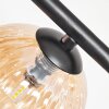 Chehalis Plafondlamp, Kogellampje Amber, 5-lichts