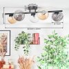 Chehalis Plafondlamp, Kogellampje Amber, Duidelijk, Rookkleurig, 5-lichts
