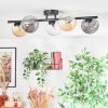 Chehalis Plafondlamp, Kogellampje Amber, Duidelijk, Rookkleurig, 5-lichts