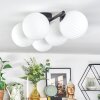 Chehalis Plafondlamp, Kogellampje Wit, 5-lichts