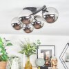 Chehalis Plafondlamp, Kogellampje Chroom, Rookkleurig, 5-lichts