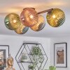 Chehalis Plafondlamp, Kogellampje Blauw, Groen, Koperkleurig, Rookkleurig, 5-lichts