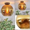 Koyoto Plafondlamp, Kogellampje Goud, 1-licht