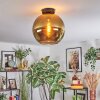 Koyoto Plafondlamp, Kogellampje Goud, 1-licht