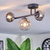 Chehalis Plafondlamp, Kogellampje Amber, Duidelijk, Rookkleurig, 3-lichts