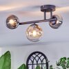 Chehalis Plafondlamp, Kogellampje Amber, Duidelijk, Rookkleurig, 3-lichts