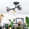 Chehalis Plafondlamp, Kogellampje Amber, Duidelijk, Rookkleurig, 3-lichts