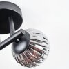 Chehalis Plafondlamp, Kogellampje Amber, Duidelijk, Rookkleurig, 3-lichts