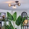 Chehalis Plafondlamp, Kogellampje Amber, Duidelijk, Rookkleurig, 3-lichts