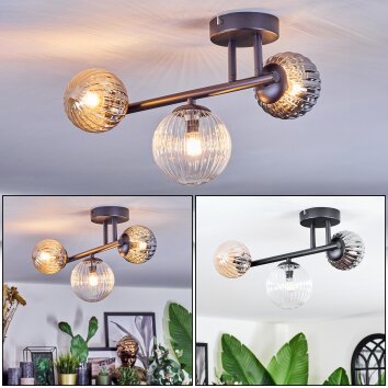 Chehalis Plafondlamp, Kogellampje Amber, Duidelijk, Rookkleurig, 3-lichts