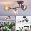 Chehalis Plafondlamp, Kogellampje Amber, Duidelijk, Rookkleurig, 3-lichts