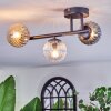 Chehalis Plafondlamp, Kogellampje Amber, Duidelijk, Rookkleurig, 3-lichts