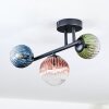 Chehalis Plafondlamp, Kogellampje Blauw, Groen, Duidelijk, Koperkleurig, 3-lichts
