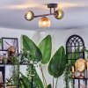 Chehalis Plafondlamp, Kogellampje Blauw, Groen, Duidelijk, Koperkleurig, 3-lichts