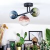 Chehalis Plafondlamp, Kogellampje Blauw, Groen, Duidelijk, Koperkleurig, 3-lichts