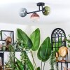 Chehalis Plafondlamp, Kogellampje Blauw, Groen, Duidelijk, Koperkleurig, 3-lichts
