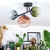 Chehalis Plafondlamp, Kogellampje Blauw, Groen, Duidelijk, Koperkleurig, 3-lichts