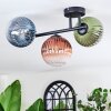 Chehalis Plafondlamp, Kogellampje Blauw, Groen, Duidelijk, Koperkleurig, 3-lichts