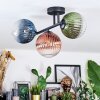 Chehalis Plafondlamp, Kogellampje Blauw, Groen, Duidelijk, Koperkleurig, 3-lichts