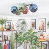Chehalis Plafondlamp, Kogellampje Blauw, Groen, Koperkleurig, 5-lichts