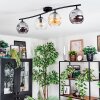 Ripoll Plafondlamp, Kogellampje Amber, Duidelijk, Rookkleurig, 4-lichts