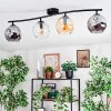 Ripoll Plafondlamp, Kogellampje Amber, Duidelijk, Rookkleurig, 4-lichts