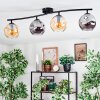 Ripoll Plafondlamp, Kogellampje Amber, Rookkleurig, 4-lichts