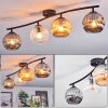 Ripoll Plafondlamp, Kogellampje Amber, Duidelijk, Rookkleurig, 4-lichts