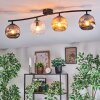 Ripoll Plafondlamp, Kogellampje Amber, Duidelijk, Rookkleurig, 4-lichts