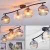 Ripoll Plafondlamp, Kogellampje Amber, Duidelijk, Rookkleurig, 4-lichts