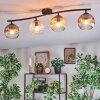 Ripoll Plafondlamp, Kogellampje Amber, Duidelijk, Rookkleurig, 4-lichts