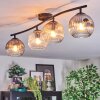 Ripoll Plafondlamp, Kogellampje Amber, Duidelijk, Rookkleurig, 4-lichts