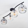 Ripoll Plafondlamp, Kogellampje Amber, Duidelijk, Rookkleurig, 4-lichts