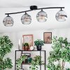 Ripoll Plafondlamp, Kogellampje Chroom, Duidelijk, Rookkleurig, 4-lichts