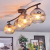 Ripoll Plafondlamp, Kogellampje Amber, Duidelijk, Rookkleurig, 4-lichts