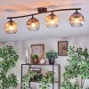 Ripoll Plafondlamp, Kogellampje Amber, Duidelijk, Rookkleurig, 4-lichts