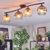 Ripoll Plafondlamp, Kogellampje Amber, Duidelijk, Rookkleurig, 4-lichts