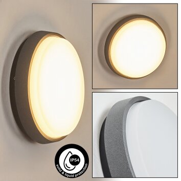Duril Wandlamp voor buiten, Wandlamp LED Antraciet, 1-licht