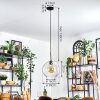 Koyoto Hanglamp, Kogellampje, Hanglamp Duidelijk, 1-licht