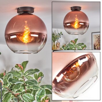 Koyoto Plafondlamp, Kogellampje 30 cm Duidelijk, Koperkleurig, 1-licht